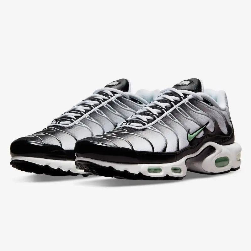 Air Max Plus TN 1 Seafoan