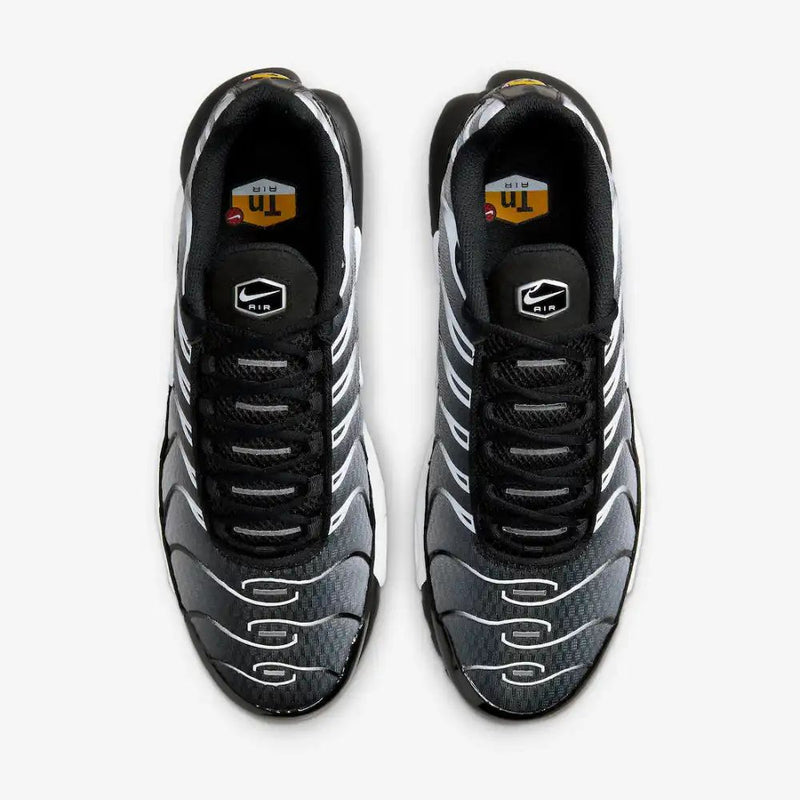 Air Max Plus TN Black Metalic Silver